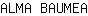 A***A