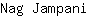 N***i