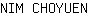 N***N