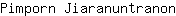 P***n