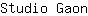 S***n