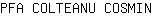 P***N