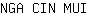 N***I