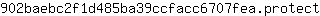 9***t