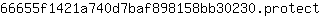 6***t