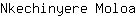 N***a