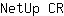 N***R