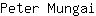 P***i