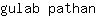 g***n