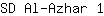 S***1