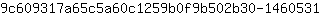 9***1