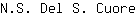 N***e