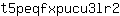 t***2