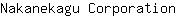 N***n