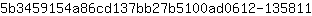 5***1