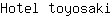 H***i