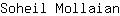S***n
