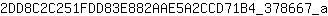 2***a