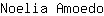N***o