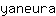 y***a