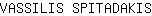 V***S