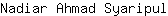 N***l
