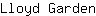 L***n