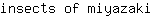i***i