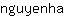 n***a
