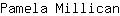 P***n