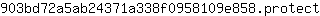 9***t