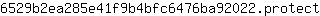 6***t