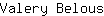 V***s
