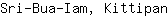 S***n