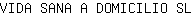 V***L