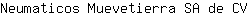 N***V