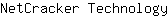 N***y