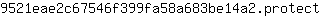 9***t