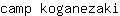 c***i