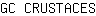 G***S
