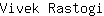 V***i