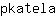 p***a
