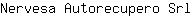 N***l