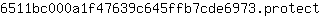 6***t