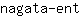 n***t