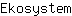 E***m
