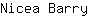 N***y