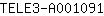 T***1
