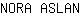 N***N