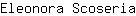 E***a
